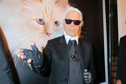 Karl Lagerfeld hinterließ seiner Katze einen Teil seines Vermögens. Damit wird jedoch nicht gerade sparsam umgegangen.
