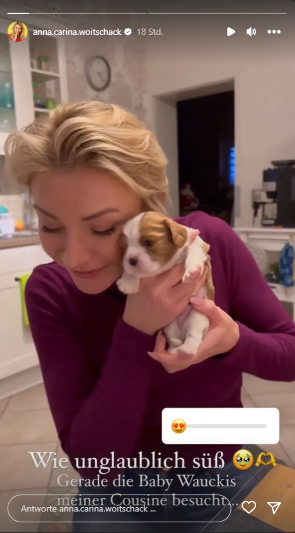 Anna-Carina Woitschack mit Baby Welpen Anna-Carina Woitschack mit Baby Welpen