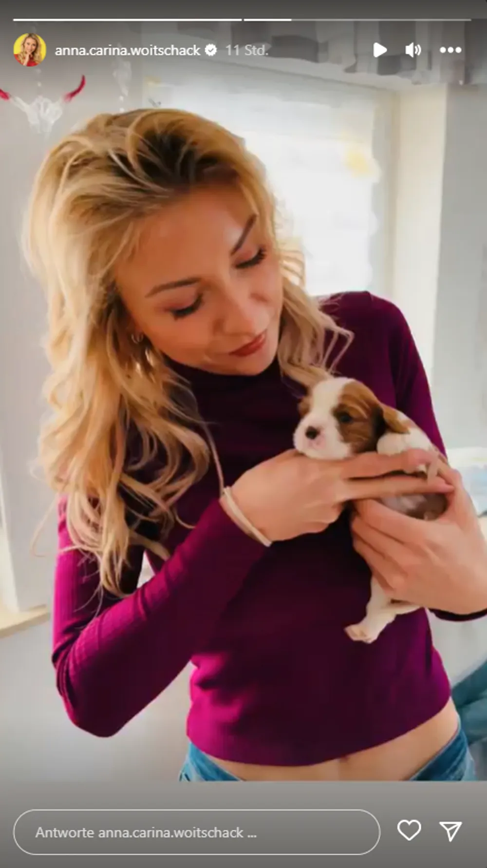 Anna-Carina Woitschack mit Baby Welpen Anna-Carina Woitschack mit Baby Welpen