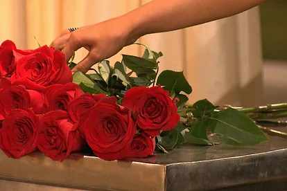 Bachelorette: Hand greift nach den Rosen.