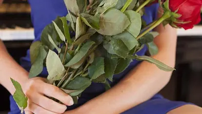 Verteilen bei RTL bald zwei Frauen rote Rosen?