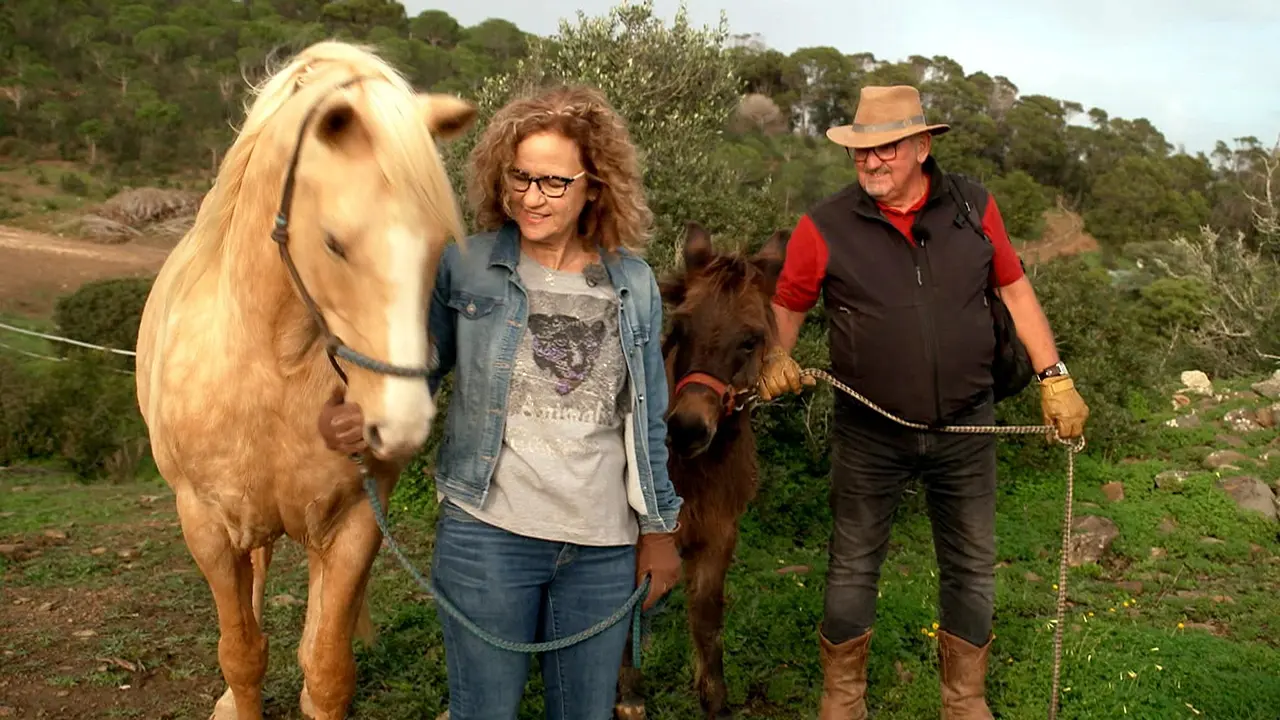 bauer-sucht-frau-international-2025-olaf-und-anna-mit-pferden Olaf und Anna von Bauer sucht Frau International führen jeweils ein Pferd an einem Strick neben sich her. - Foto: RTL