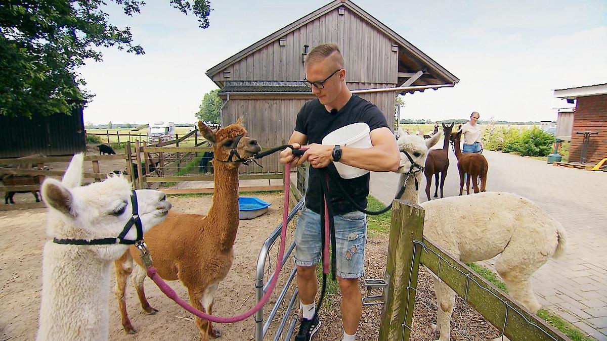 Bauer sucht Frau: Martin