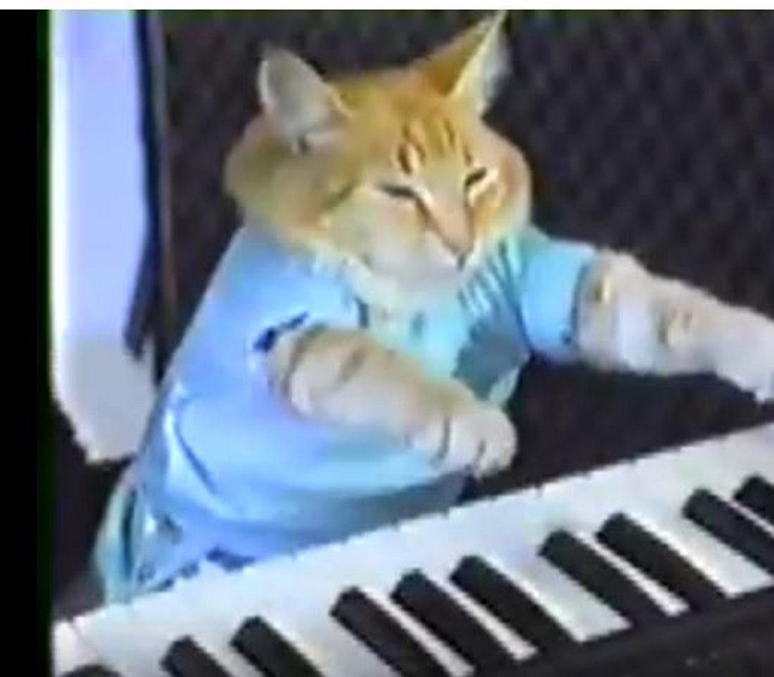 Dlisted | Bento The Keyboard Cat Has Died