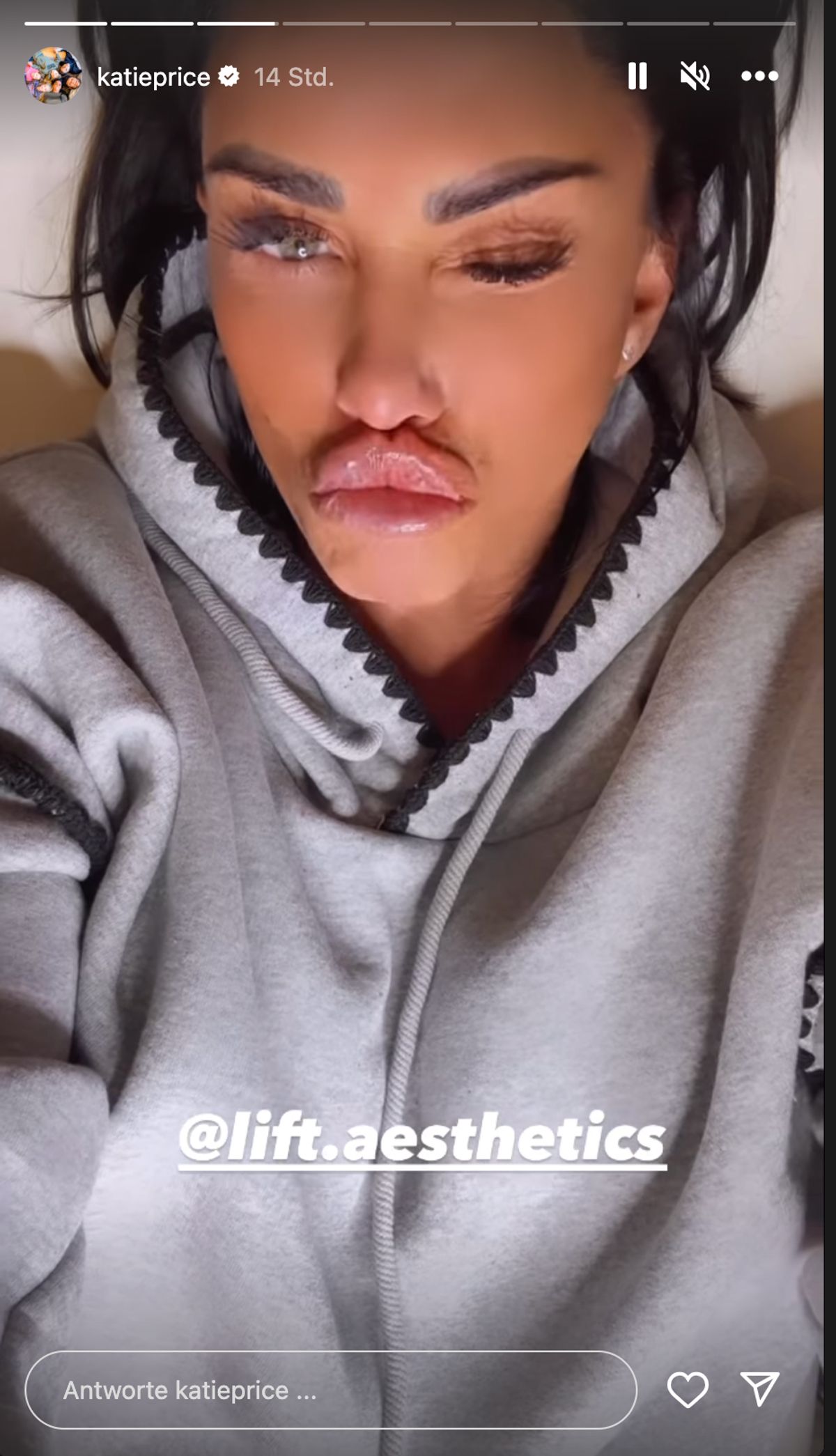 Katie Price Insta-Story