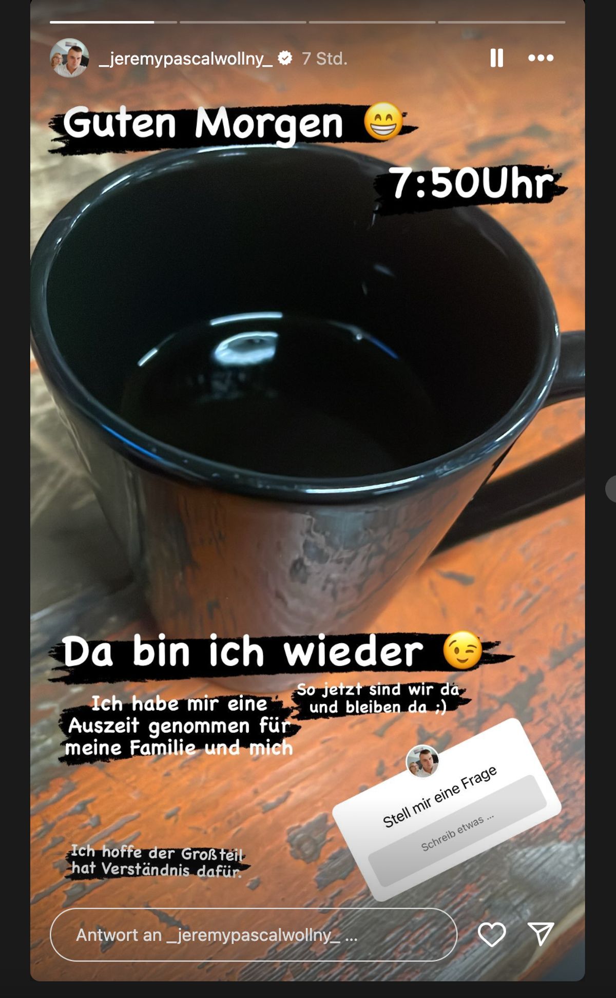 Insta-Story Wollny