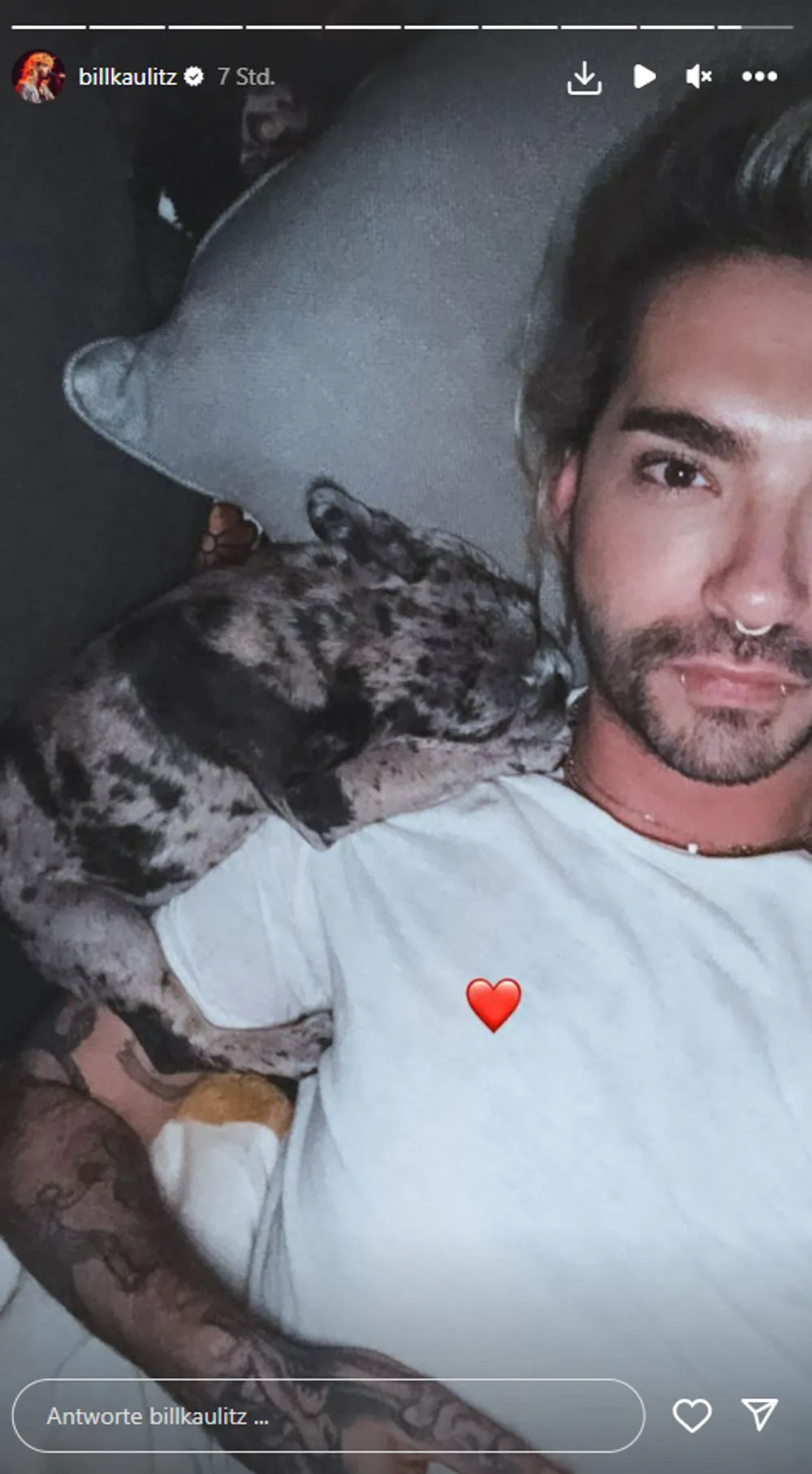 Bill Kaulitz & sein Hund Alfia Pearlpop im Bett Bill Kaulitz & sein Hund Alfia Pearlpop im Bett