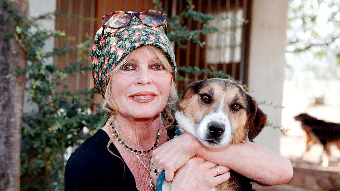 Brigitte Bardot ist heute Tierschutzaktivistin Brigitte Bardot ist heute Tierschutzaktivistin