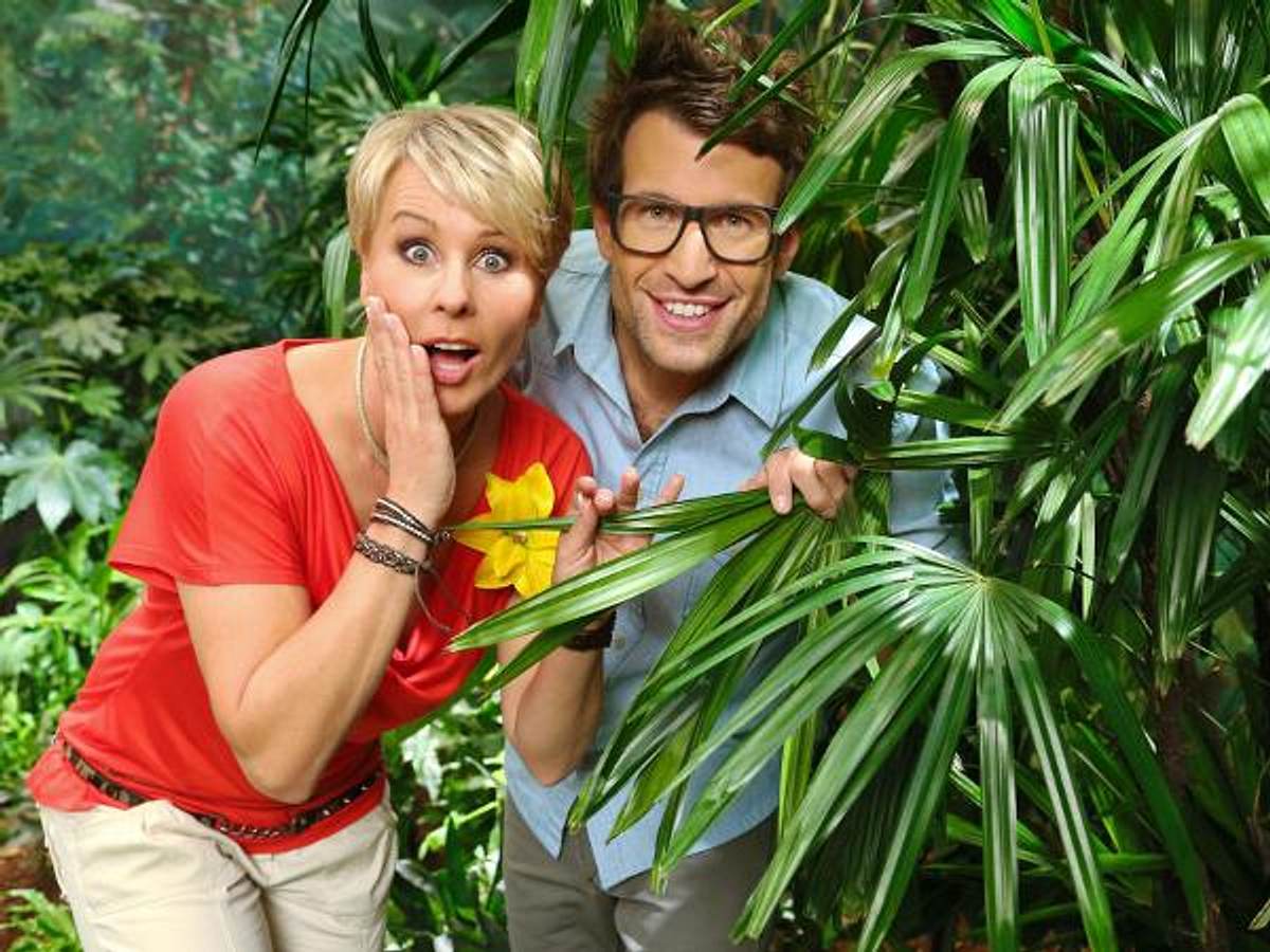 Sonja Zietlow & Daniel Hartwich: Die besten Sprüche der Dschungelcamp-Moderatoren - Bild 8