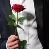 Der Bachelor