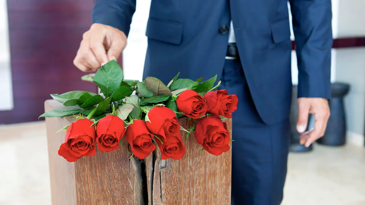 der bachelor 2025 felix stein martin braun Die Bachelors: Neue Rosenkavaliere enthüllt - Foto: RTL