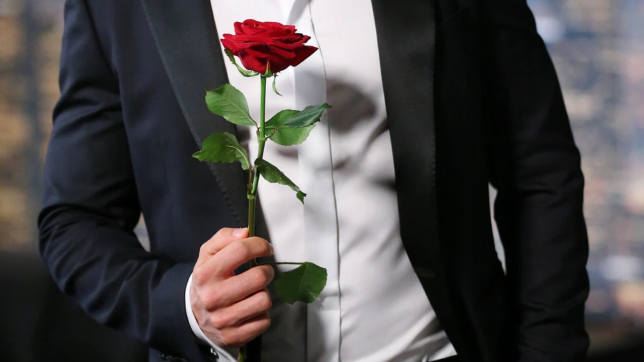 Der Bachelor Der Bachelor - Foto: RTL