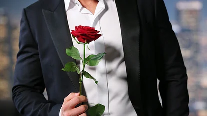 Der Bachelor