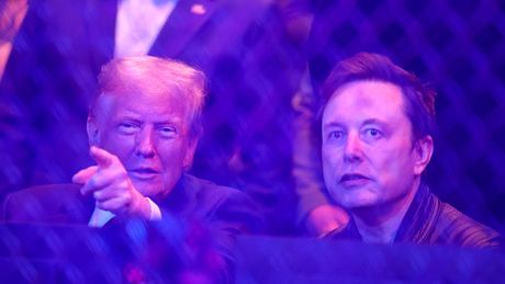 Donald Trump Elon Musk - Foto:  IMAGO / Imagn Images