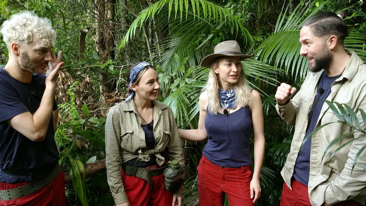 Die Dschungelcamper haben einen Rekord gebrochen. Die Dschungelcamper haben einen Rekord gebrochen. - Foto: RTL