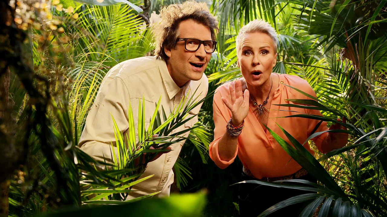 Daniel Hartwich und Sonja Zietlow Daniel Hartwich und Sonja Zietlow - Foto: RTL / Stefan Gregorowius