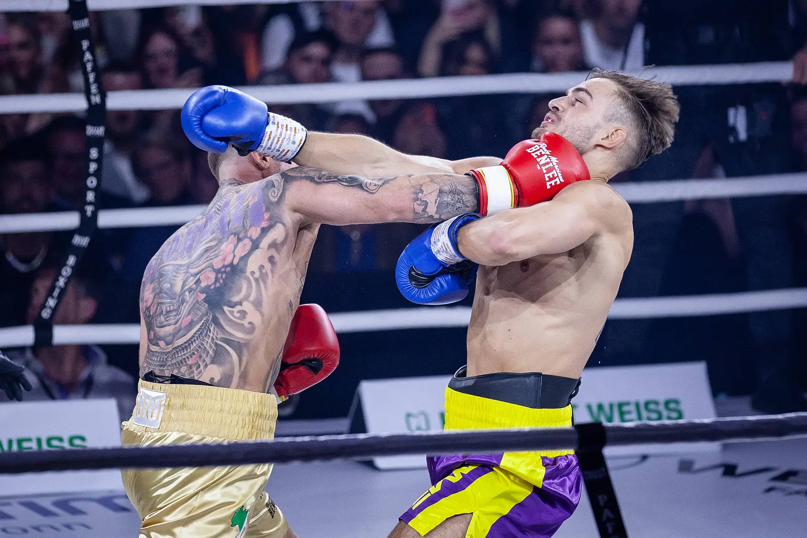 wo kann man fame fighting gucken