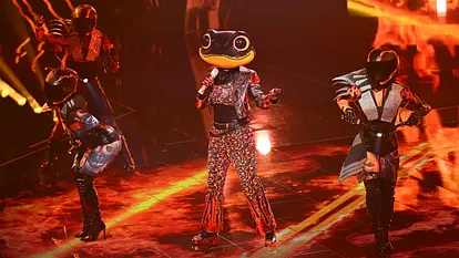 Der Feuersalamander aus der aktuellen 11. Staffel von The Masked Singer