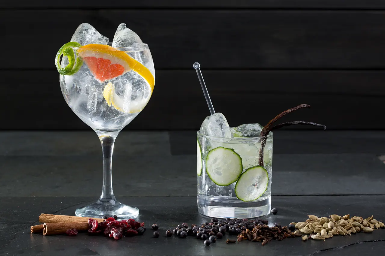 Gin Set Gin Set - Foto: iStock/ LUNAMARINA