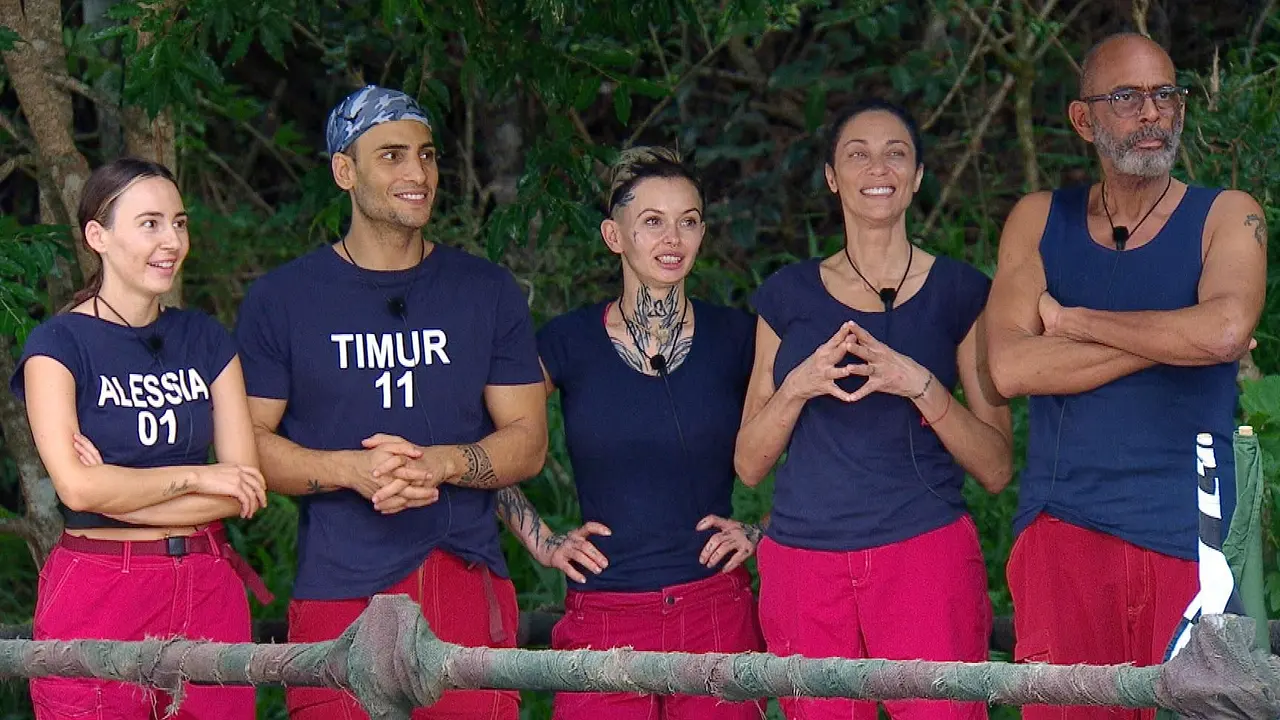 Die Halbfinalisten des Dschungelcamps Die Halbfinalisten des Dschungelcamps - Foto: RTL