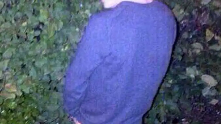 So sieht der Po von Harry Styles aus.