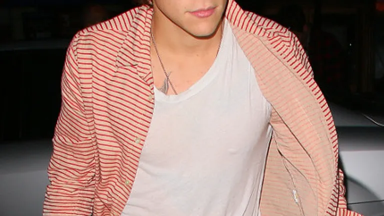 Harry Styles steht auf schlüpfrige Texte