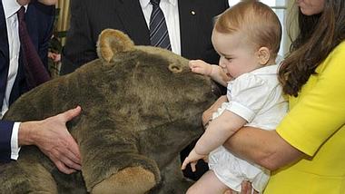 Baby George bekommt ein Wombat geschenkt - Foto: GettyImages