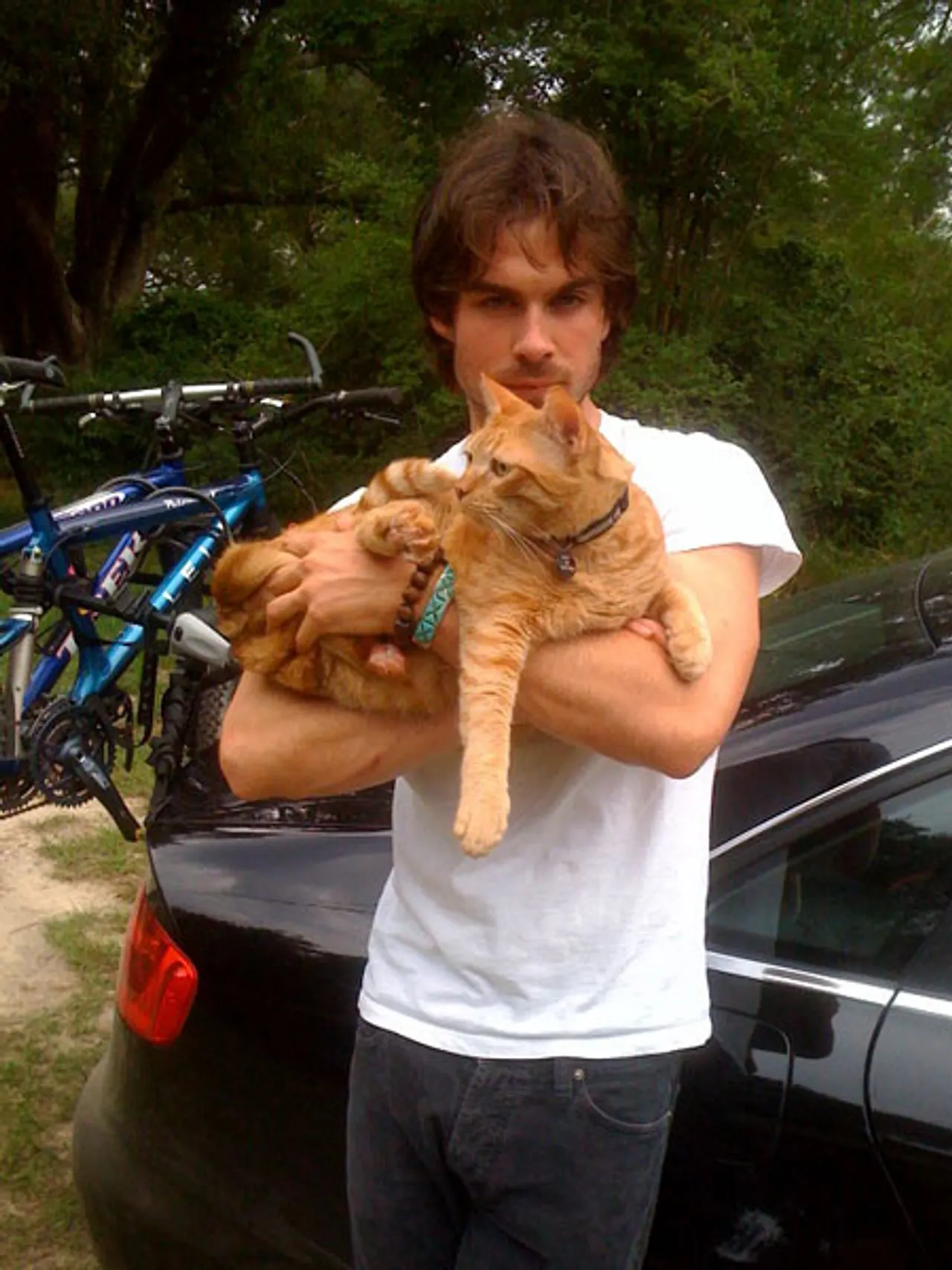 Ian Somerhalder ist leidenschaftlicher Vampir, Weltretter und Schleckermäulchen. Ian Somerhalder ist leidenschaftlicher Vampir, Weltretter und Schleckermäulchen. - Foto: Twitter: Ian Somerhalder