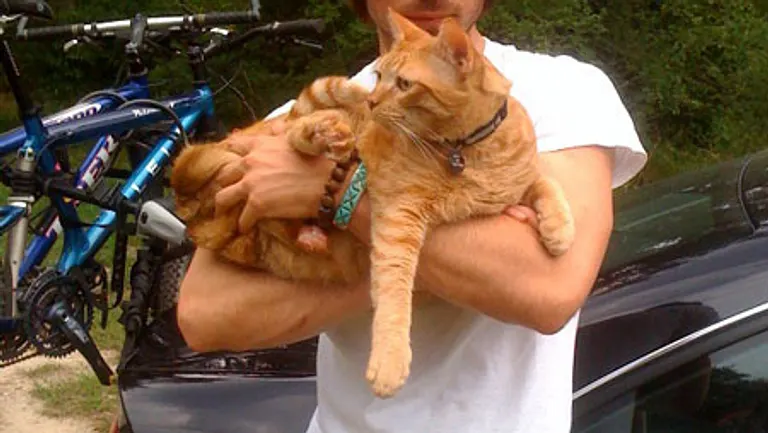 Ian Somerhalder ist leidenschaftlicher Vampir, Weltretter und Schleckermäulchen.