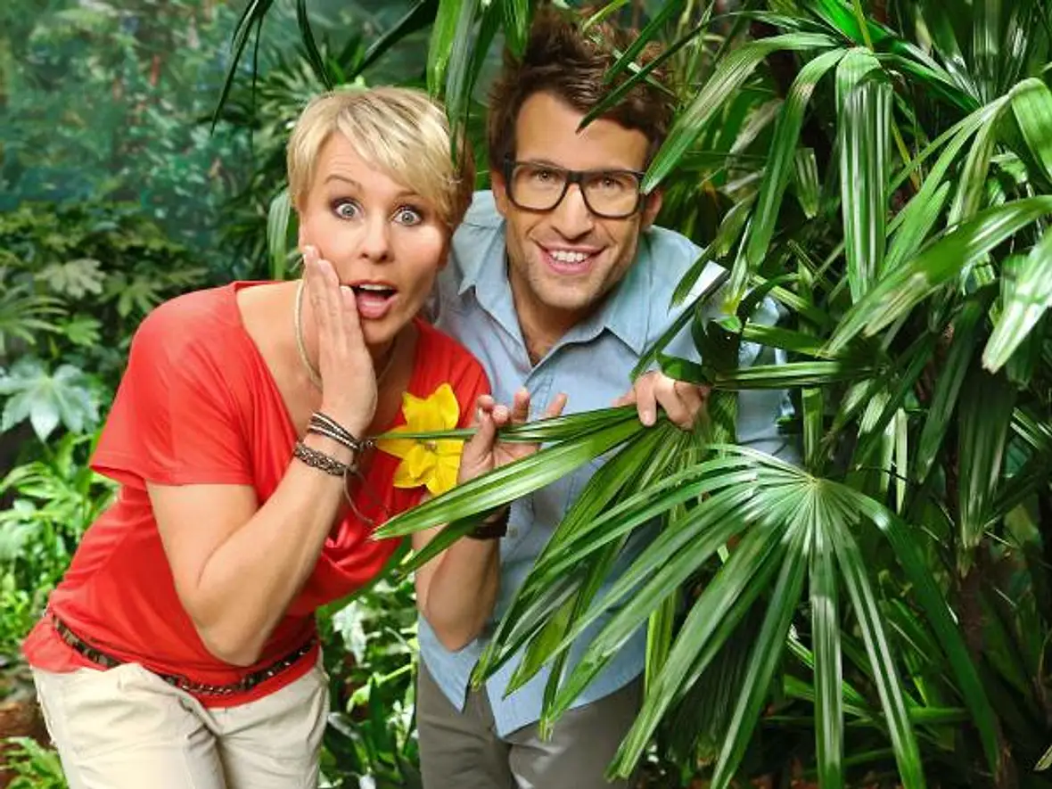 Sonja Zietlow & Daniel Hartwich: Die besten Sprüche der "Dschungelcamp"-Moderatoren - Bild 8