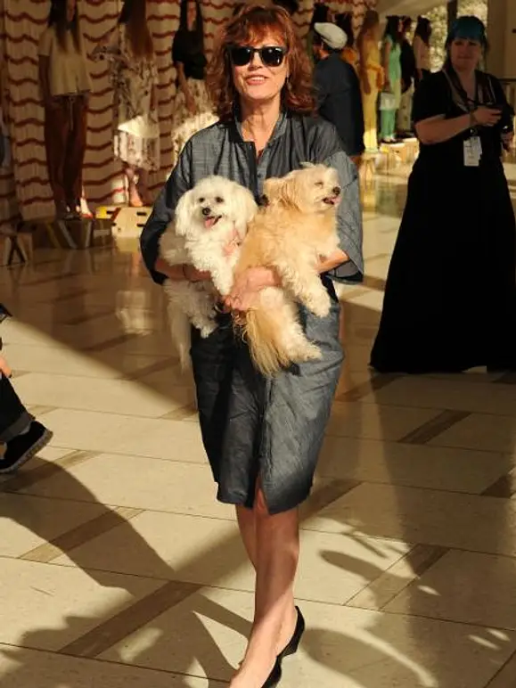V.I.Pets: Die Stars lieben ihre Hunde