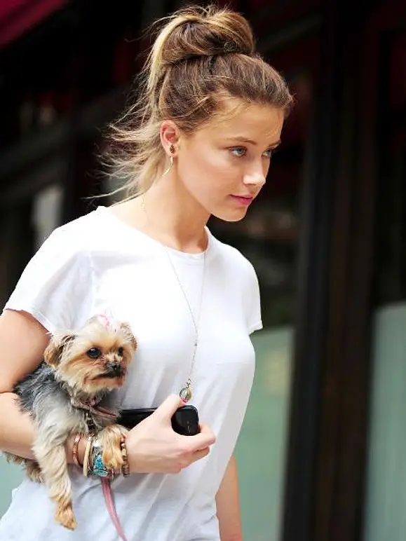 V.I.Pets: Die Stars lieben ihre Hunde