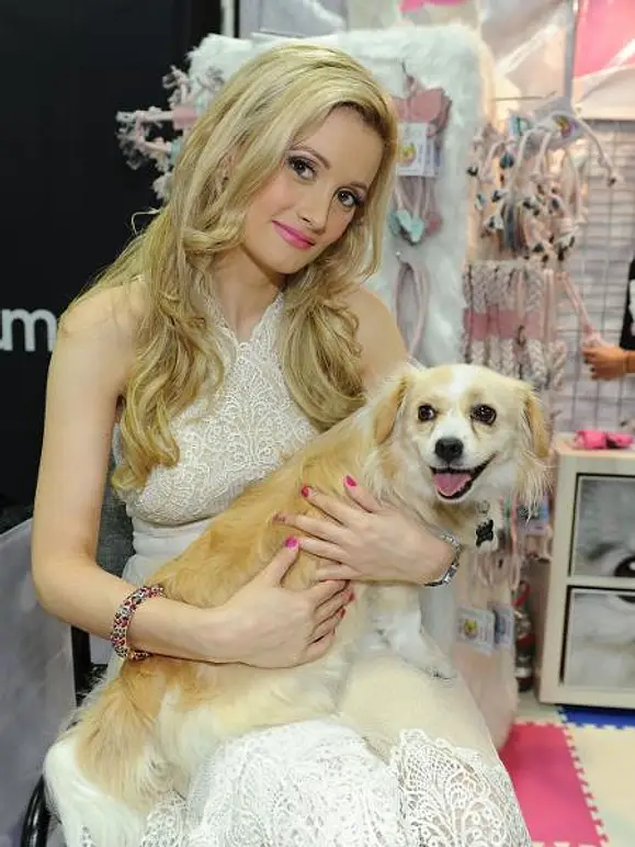 V.I.Pets: Die Stars lieben ihre Hunde