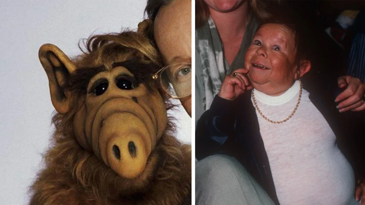Michu Meszaros als ALF Michu Meszaros als ALF