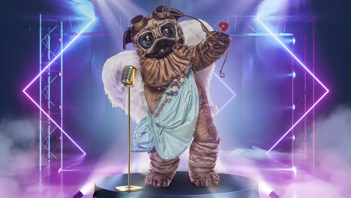 "The Masked Singer"-Kostüme Mops "The Masked Singer"-Kostüme Mops