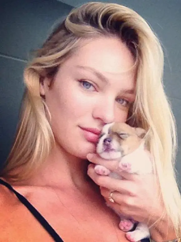V.I.Pets: Die Stars lieben ihre Hunde