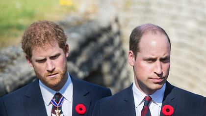 Prinz Harry und Prinz William - Foto: GettyImages