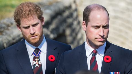 Prinz Harry und Prinz William - Foto: GettyImages