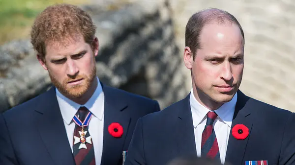 Prinz Harry und Prinz William