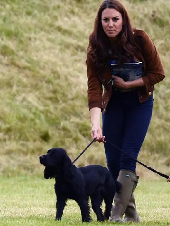 V.I.Pets: Die Stars lieben ihre Hunde