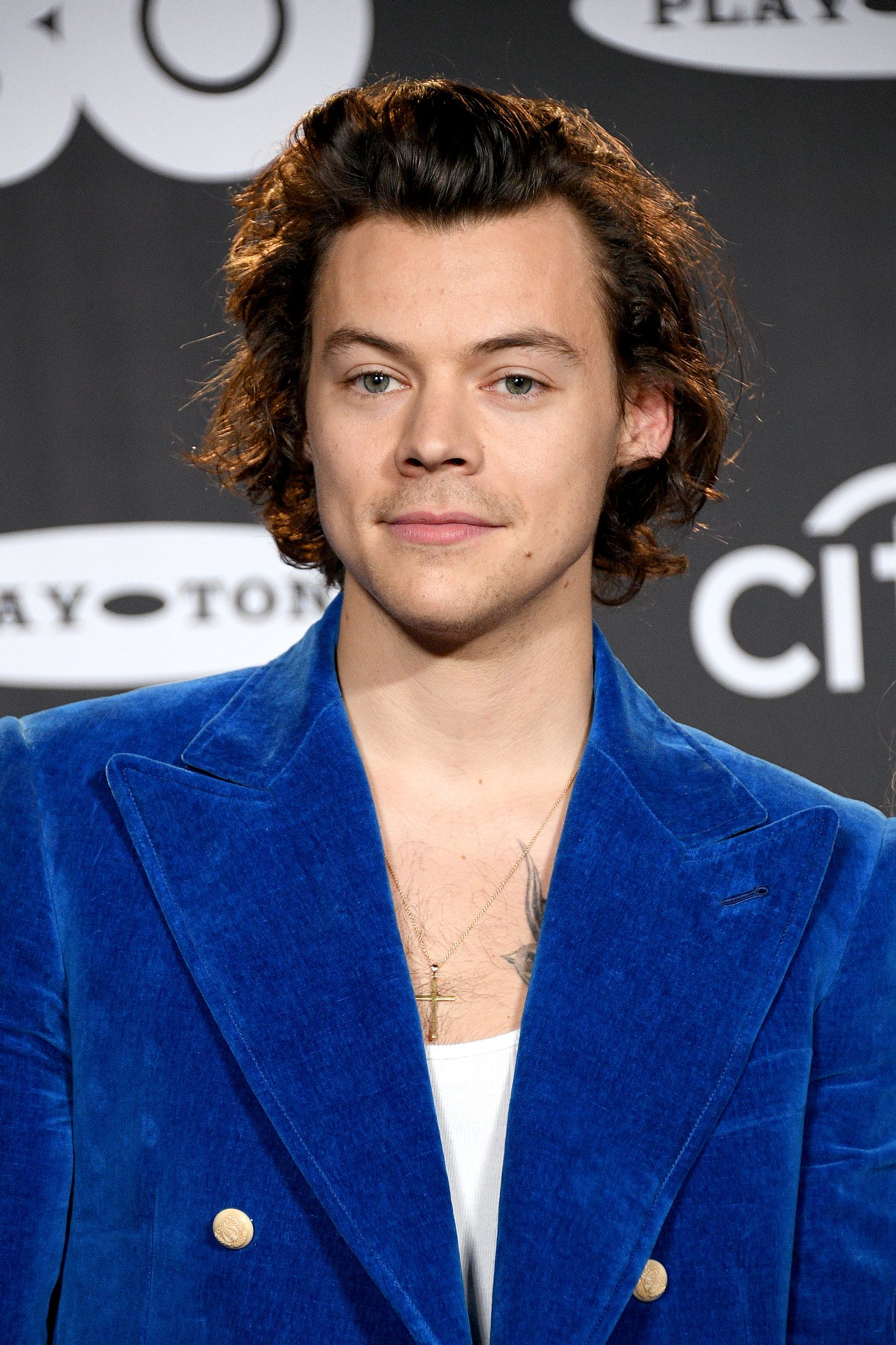 Harry Styles Agent Details | Harry Styles Management
