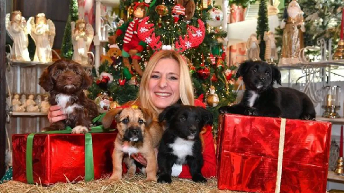 Stefanie Hertel an Weihnachten Stefanie Hertel an Weihnachten