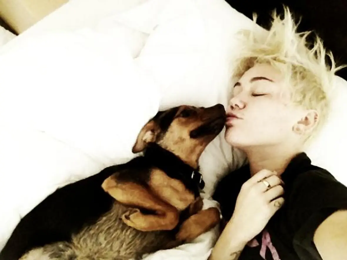 V.I.Pets: Die Stars lieben ihre Hunde