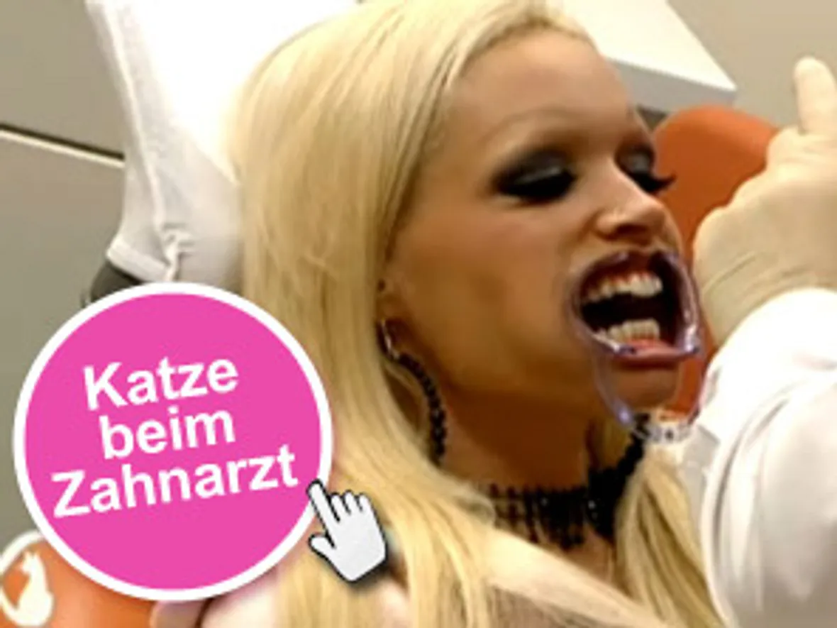 Das Star-Foto der Woche - Bild 171