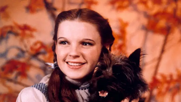Judy Garland Judy Garland