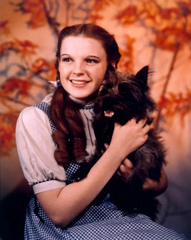 Judy Garland Judy Garland
