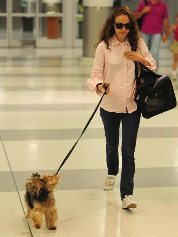 V.I.Pets: Die Stars lieben ihre Hunde