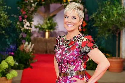Inka Bause in einem bunten Blumenkleid beim Scheuenfest von Bauer sucht Frau.