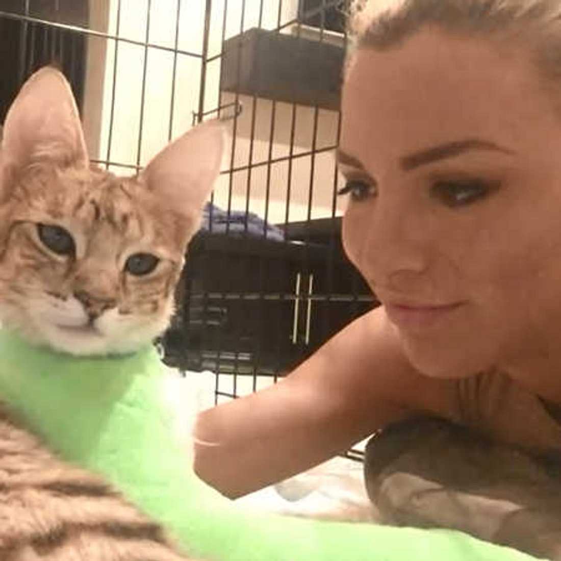 Jordan Carver: Große Sorge um ihre Muschi-Katze!
