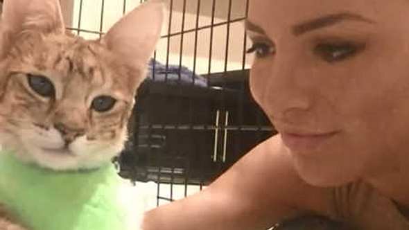 Jordan Carver: Große Sorge um ihre Muschi-Katze! - Foto: JordanCarverTV/Screenshot